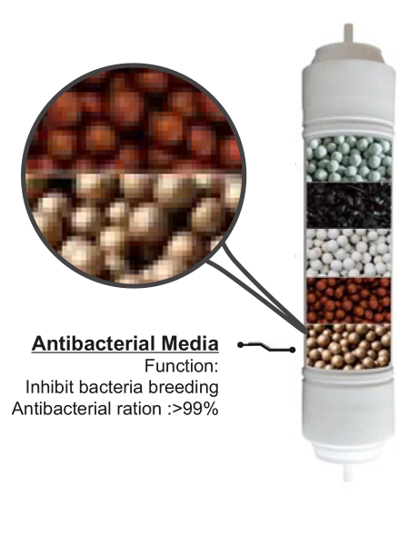 Antibacterial Media