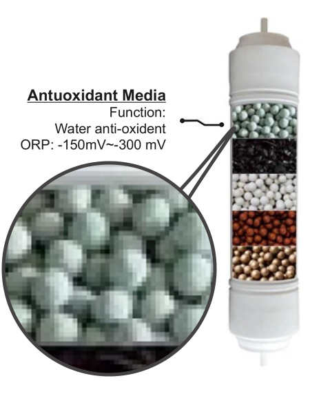 Antioxidant Media
